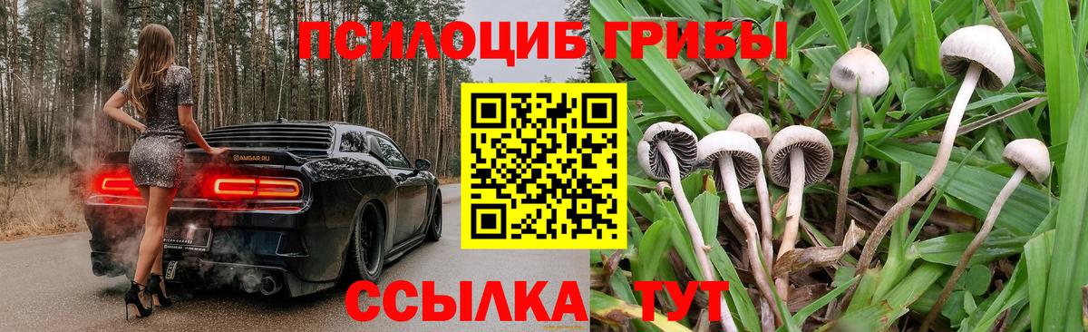 Холмск  Псилоцибиновые грибы Magic Shrooms  наркошоп  Вход с VPN 